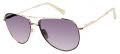 Ted Baker TWS257 Gold/Black (GLD) Sunglasses - Color Image